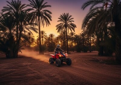 Quad vs. Buggy: Which Adrenaline Adventure is Right for You in Marrakech?